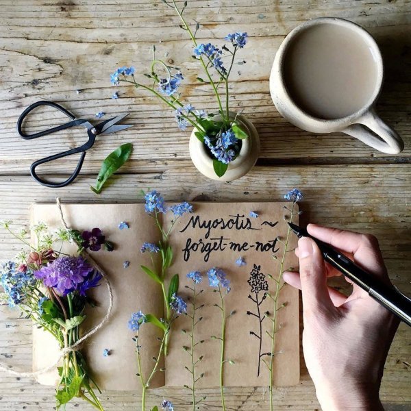 Художница Cinzia Bolognesi