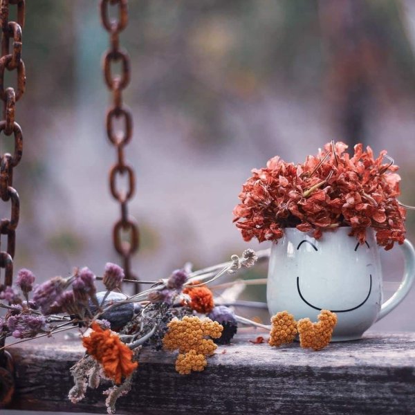 Доброе утро философская