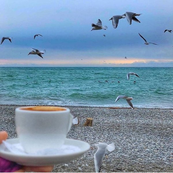 Нежный цветок