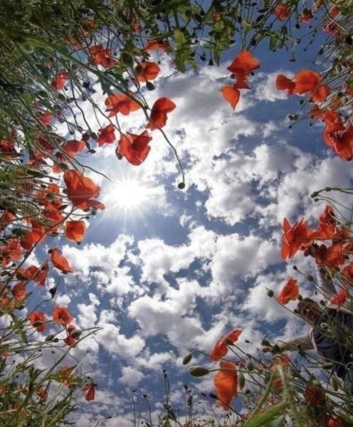 Мотивирующие фразы утром