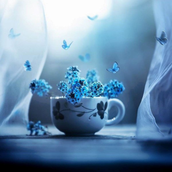 Оригинальные открытки с цветами