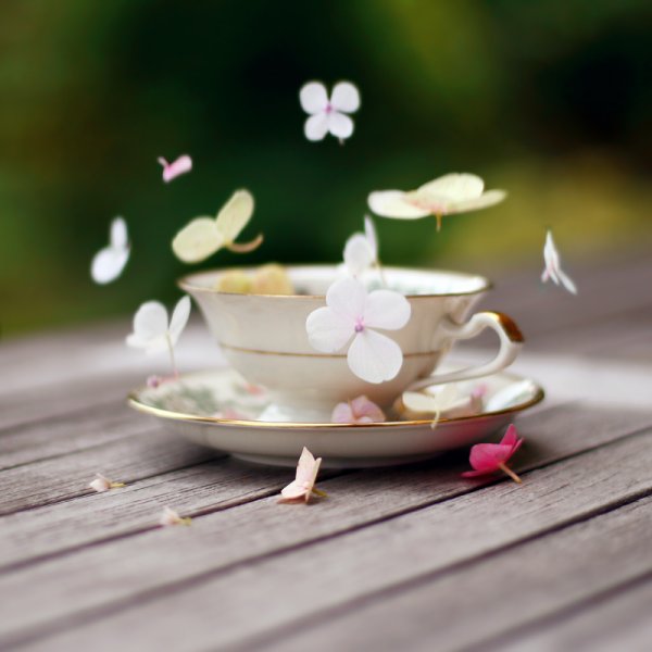 Художники иллюстратор Мила Маргус