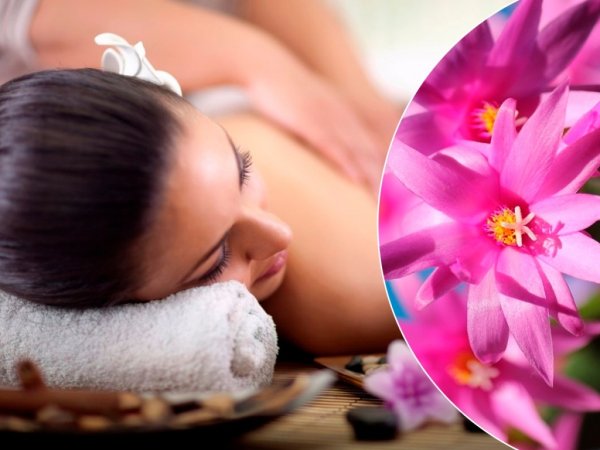 Спа программа