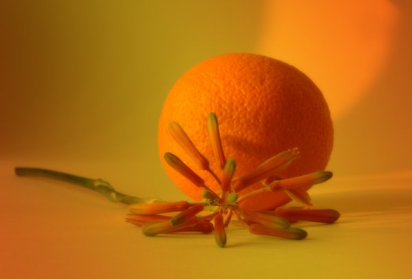 Апельсин свет