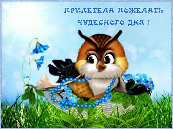 Хорошего денечка