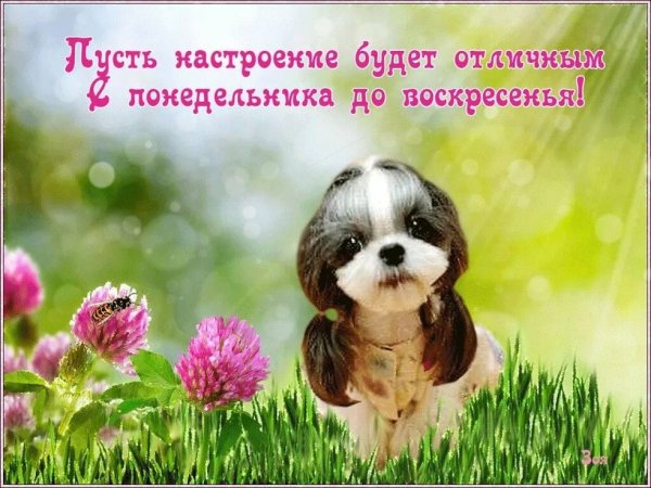 Отличного настроения