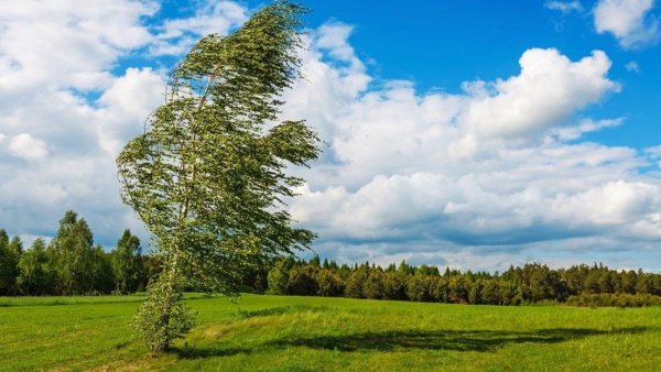 Природа ветер