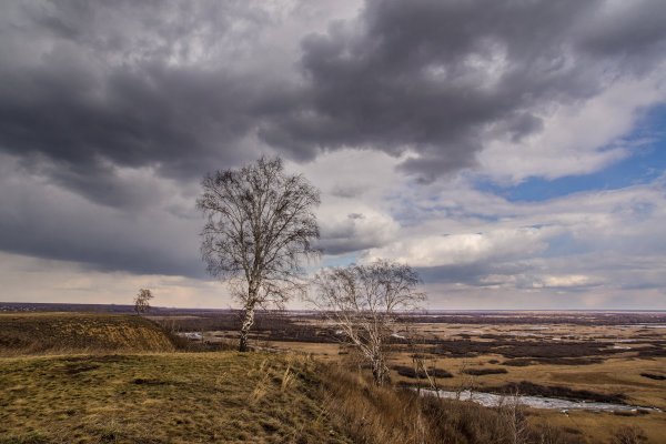 Пасмурный день весной