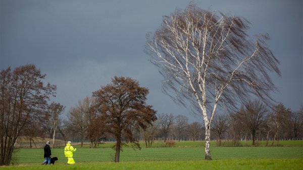 Сильный ветер весной