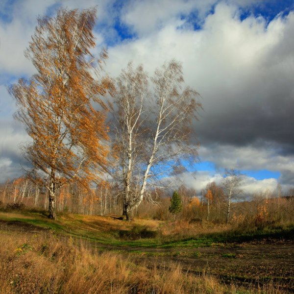 Осенний ветер