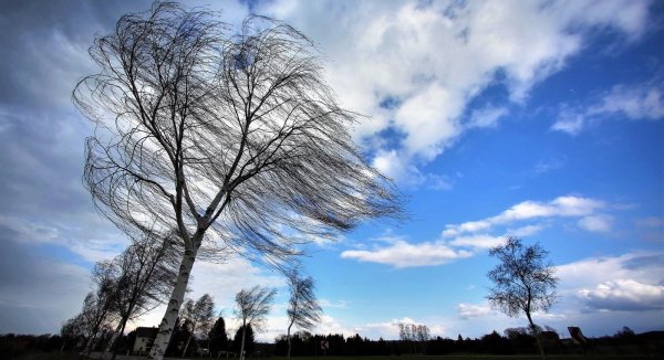 Сильный ветер