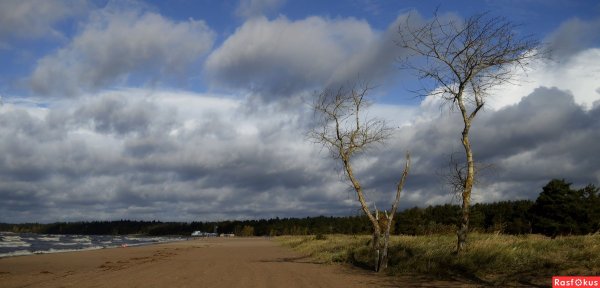 Ветрено безветренно