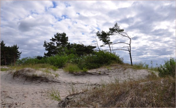 Ветреный день фото