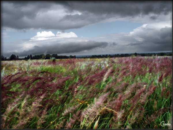 Ветреный фото