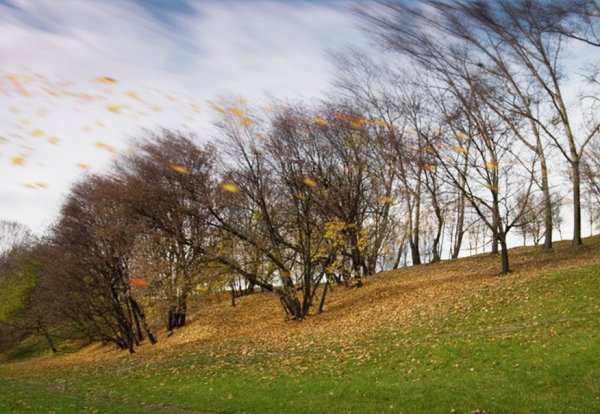 Сильный ветер поздняя осень