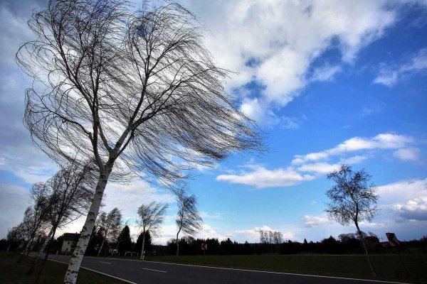 Сильный ветер