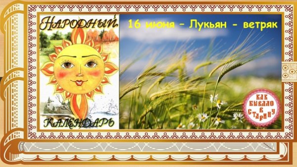 Лука ветряник 16 июня