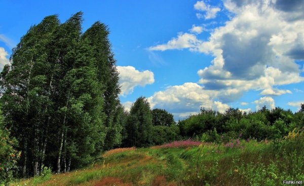 Сергей Николаевич Лукьянов художник