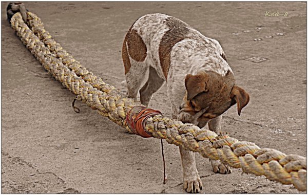 День заплетальщиков 1 июля