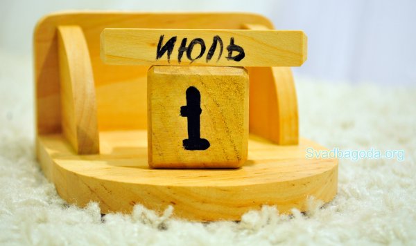 Косички дреды они портят сильно волосы