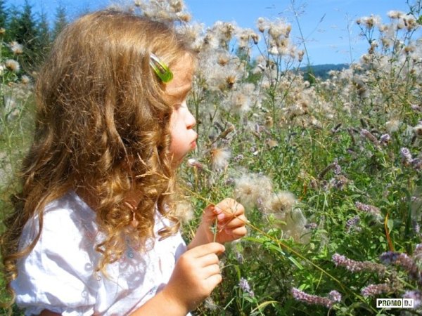 Обряд завивания бороды