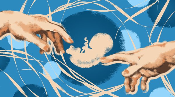 Семья ЕГЭ В рисунках