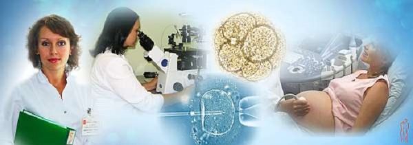 Реклама репродуктолог