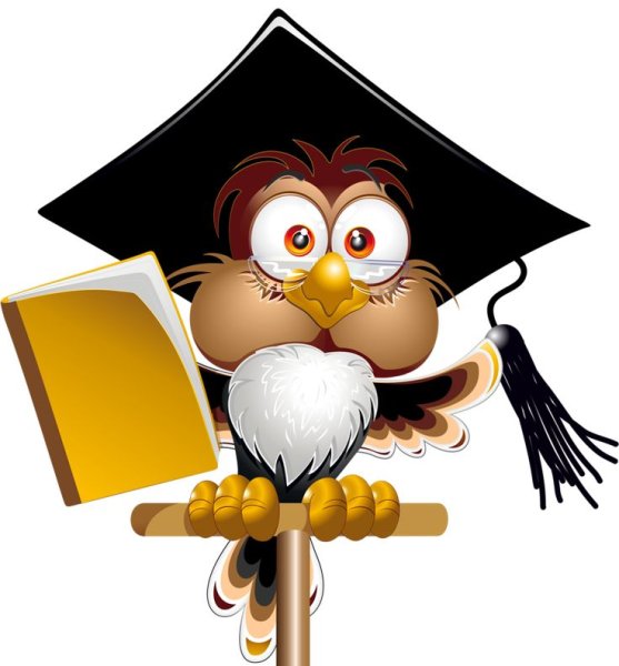 Эрудит презентация