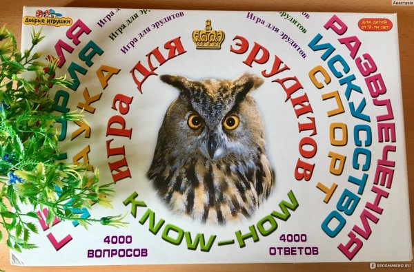 Праздник «Эрудит-2022»