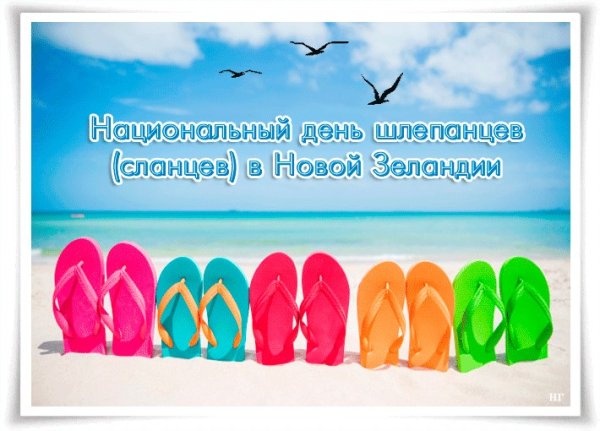 Национальный день шлепанцев (сланцев)