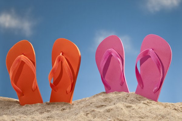 Национальный день шлепанцев в новой Зеландии