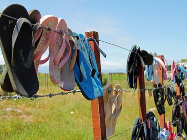 День шлепанцев