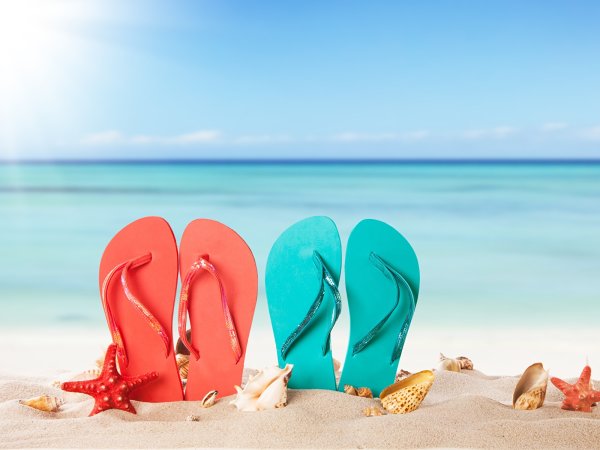 Национальный день шлепанцев в новой Зеландии