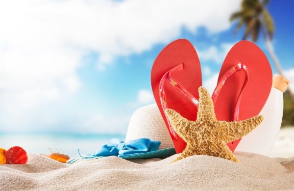 Национальный день шлепанцев