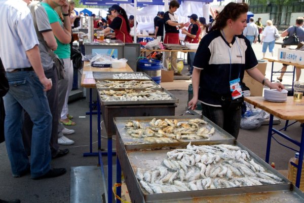 Фестиваль корюшки в Санкт-Петербурге