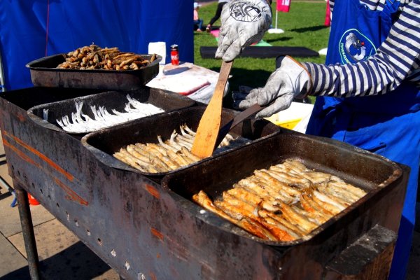 Фестиваль корюшки