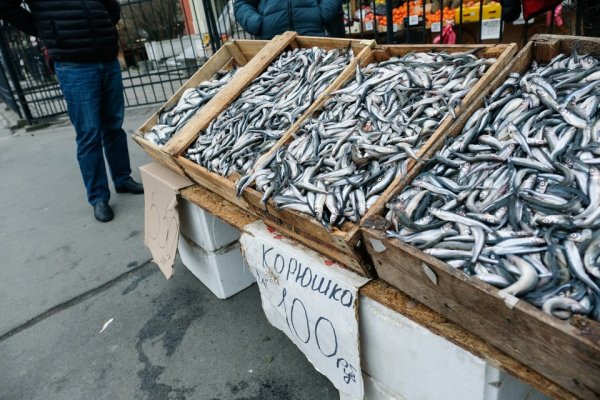 Ладожская корюшка