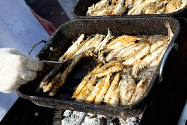 Праздник корюшки в Санкт-Петербурге