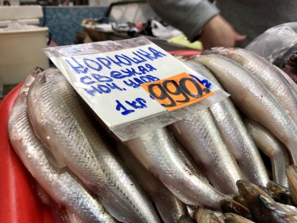 Корюшка в Петербурге