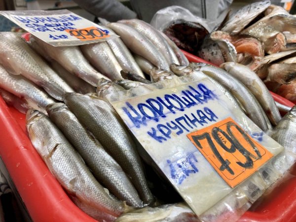 Корюшка Санкт-Петербург