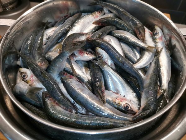 Праздник корюшки