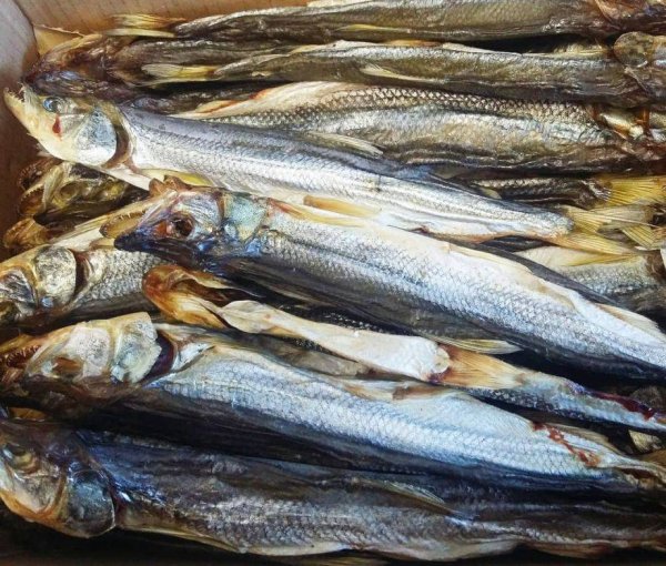 Жареная корюшка Санкт-Петербург