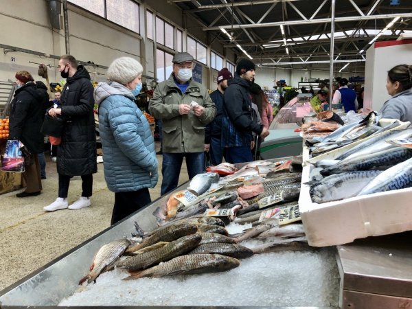 Камчатский Зубарь рыба