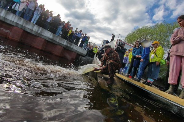 Фестиваль корюшки Владивосток