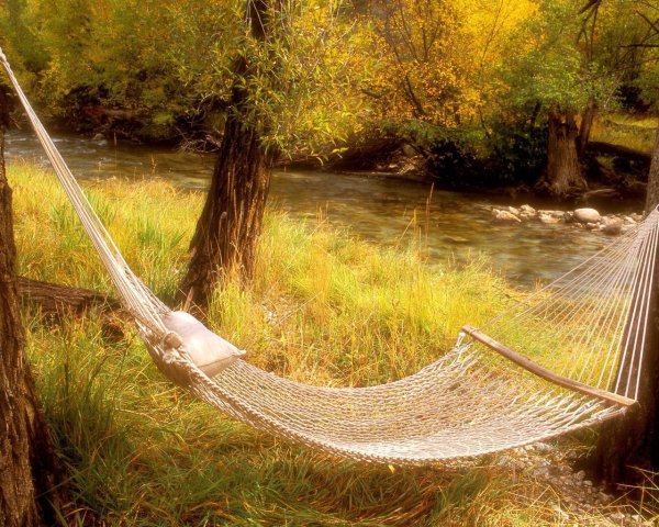 Лето в гамаке