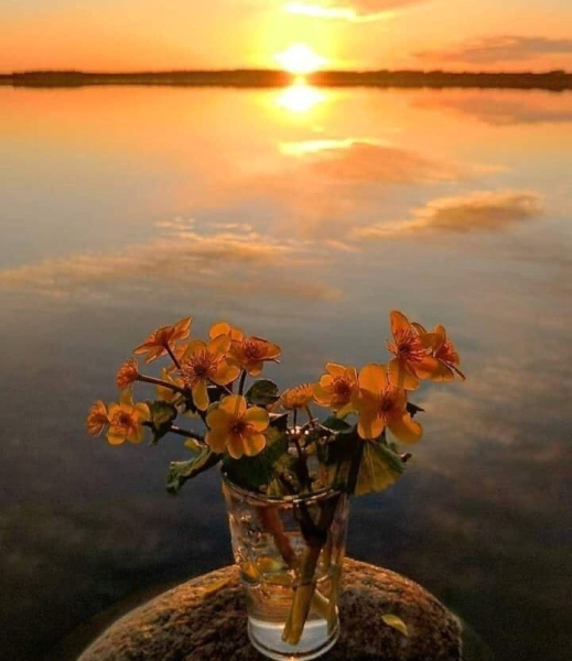 Чудесного летнего вечера