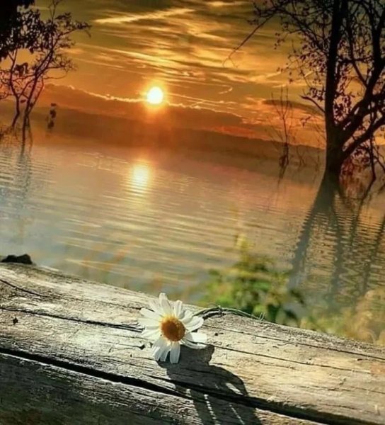 Душевного тепла и спокойствия