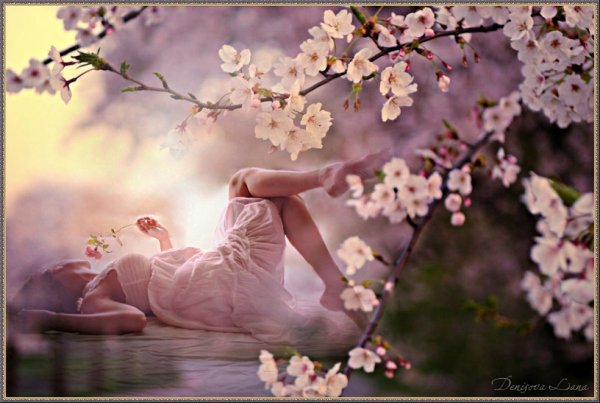 Нежность и Гармония