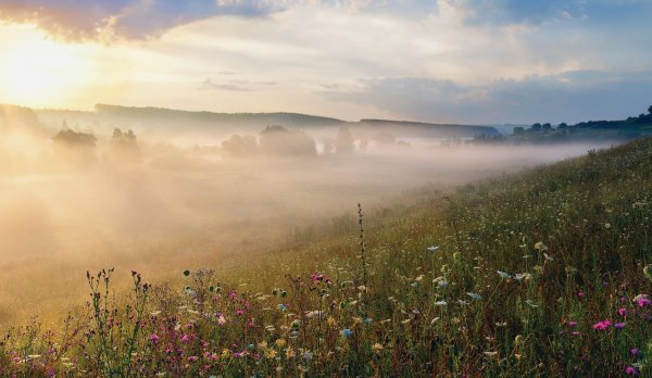 Утро безмятежность