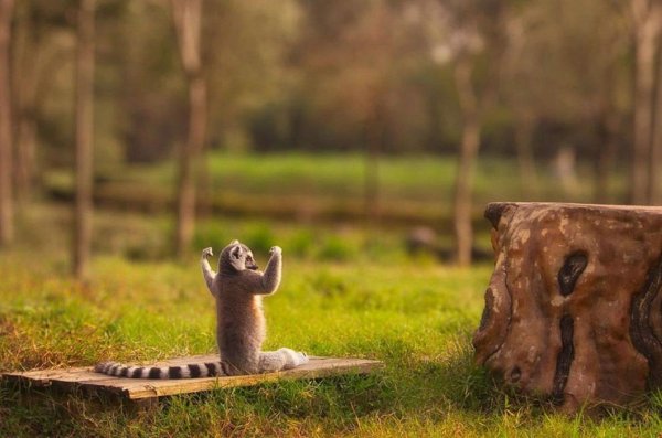 Доброго и продуктивного дня